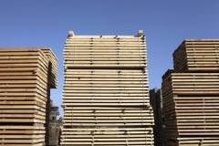 image22
